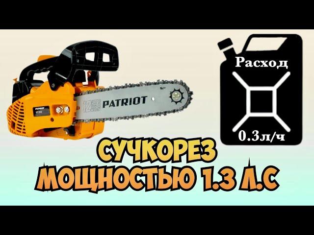 Review of Patriot PT2512 one-handed chainsaw