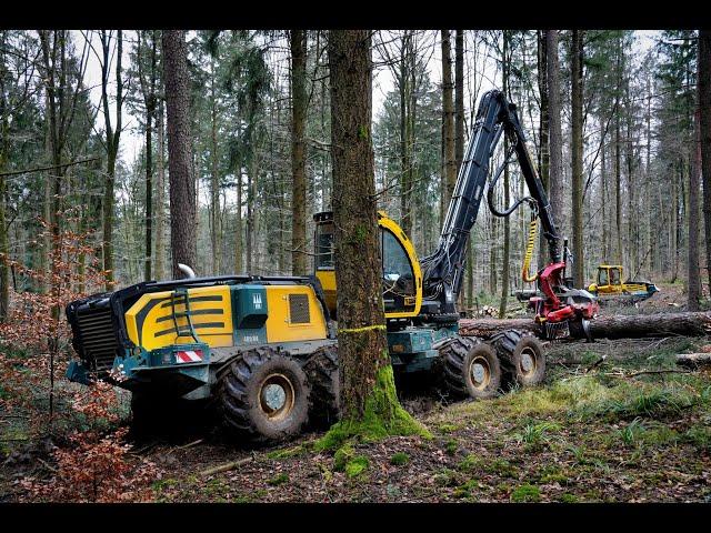 HSM 405 H4 & HSM 208F 18 Tonner • Harvester & Forwarder • Durchforstung • big trees • big machines