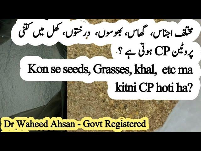 CP of different feed items - Dr Waheed Ahsan