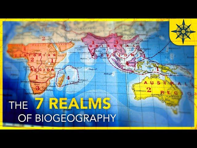 What Are The 7 Realms of Biogeography?