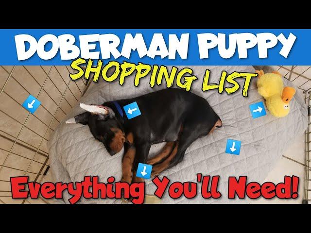 Doberman Puppy Shopping List: The COMPLETE Guide