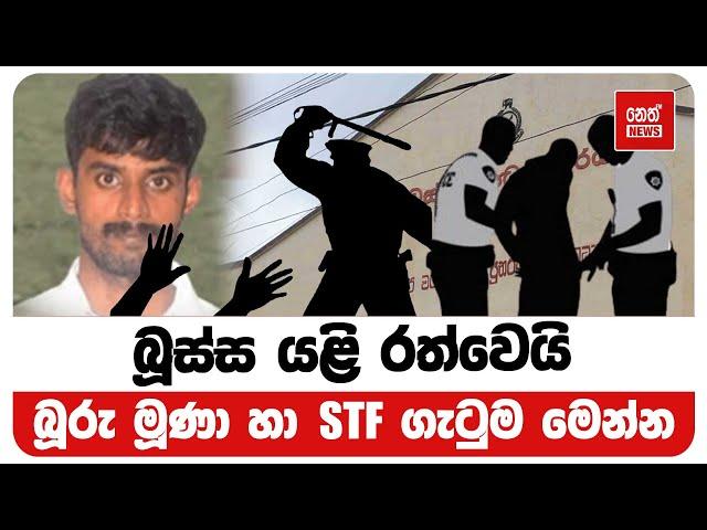 බූස්ස යළි රත්වෙයි -  බූරු මූණා හා STF ගැටුම මෙන්න |  Neth News