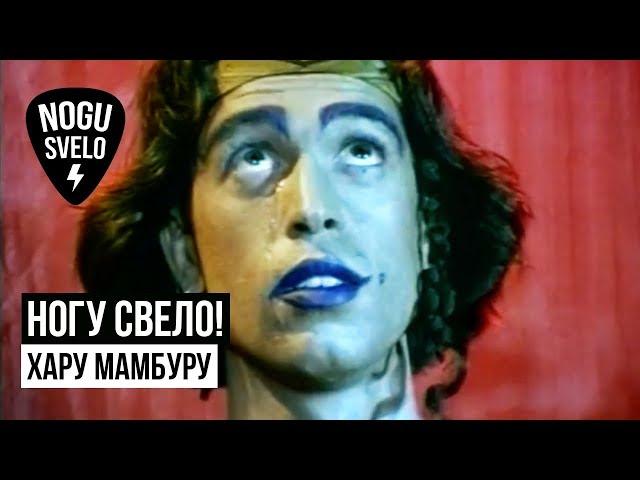 Ногу Свело! - Хару Мамбуру