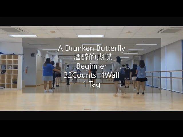 A Drunken Butterfly(酒醉的蝴蝶) Line Dance (Beginner)Let's Practice Together~