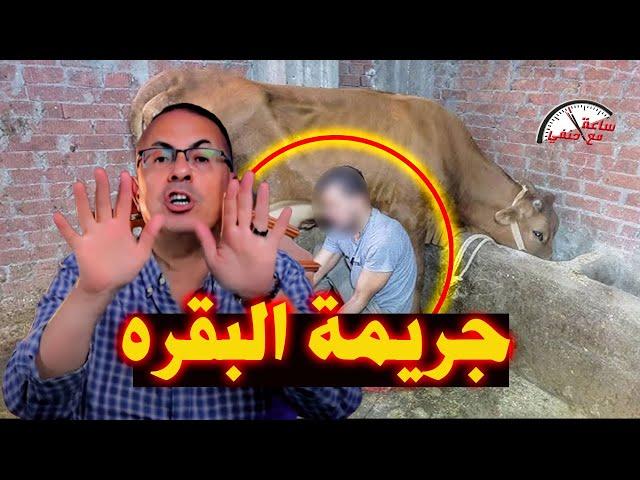 بسبب البقره قـ ـتـ ـلـ ـوه ورموا جـ ـثـ ـتـ ـه في الزراعات شئ لايعقل !!!