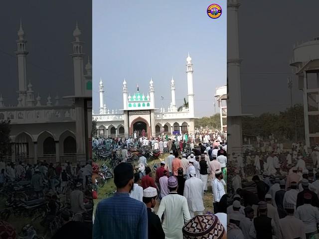 Jumma Mubarak Jamia ashrafia ke 2024 #ytshortsindia #youtubeshorts #shortsfeed #viralshorts