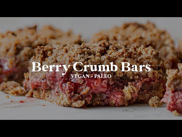 Berry Crumb Bars // vegan, gluten-free, paleo option!