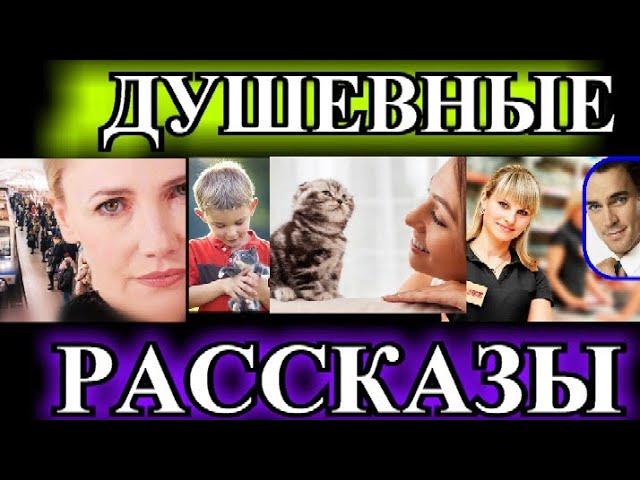 ДУШЕВНЫЕ РАССКАЗЫ️САМАЯ  УМНАЯ️СРЕДНИЙ СЫН️ОХ УЖ ЭТИ ОСТРЫЕ НОЖИ️БАРСИК️@TEFI РАССКАЗЫ