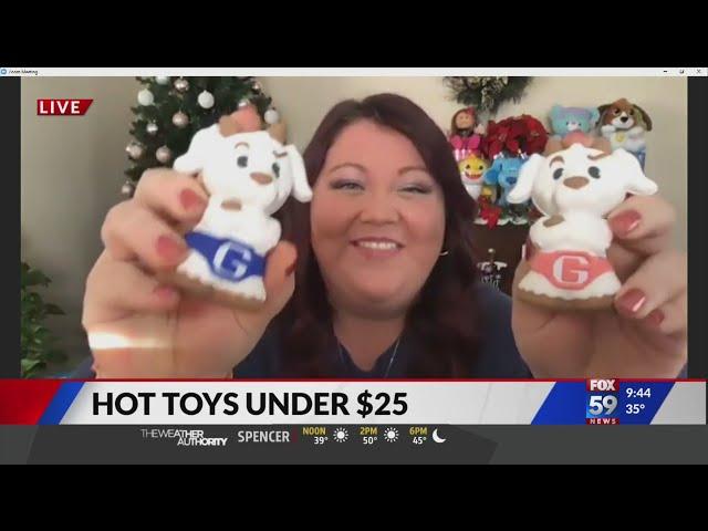 Toy expert shows top toys under $25