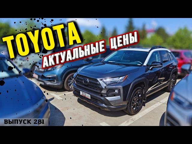 Обзор цен Toyota. Рынок Автопапа. Мастер Вадя Грузия. Авто из Грузии #automobile #mastervadya #top