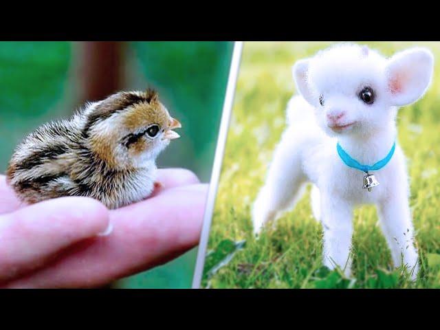 15 Cutest Pets You Can Legally Own