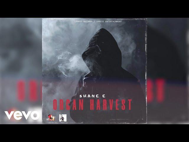 Shane e - Organ Harvest | Official Audio