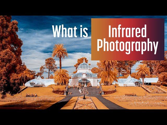 What is Infrared Photography? An intro for everyone.