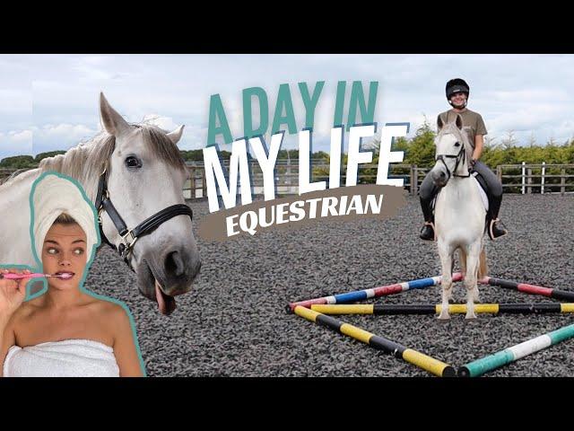 A Day In The Life Of An Equestrian | LilPetChannel