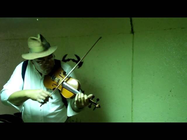 Dixie solo acoustic fiddle~Hillar Bergman, fiddler