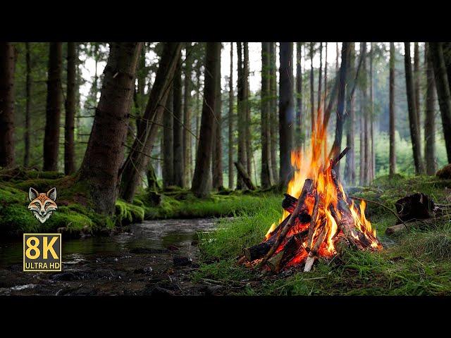 Soothing forest ambience by the crackling campfire and small stream.