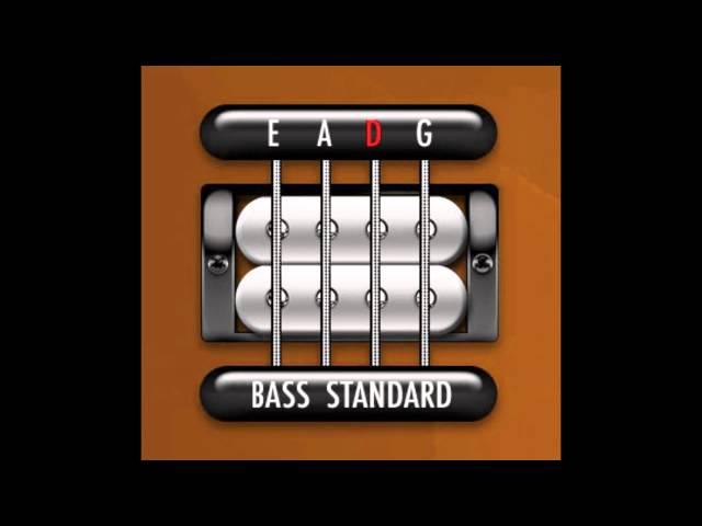 Perfect Guitar Tuner (Bass E Standard = E A D G)