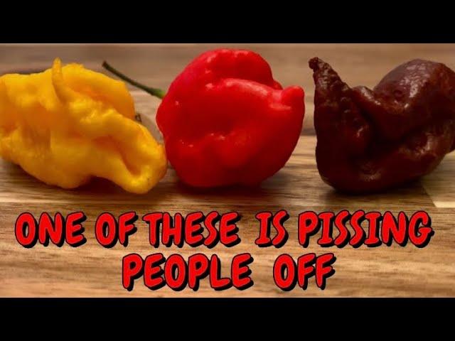 OPINION PIECE! 3 GREAT PODS! NO FLUKE!  WARTHOG IS THE HOTTEST PUBLICALLY AVAILABLE PEPPER ON EARTH