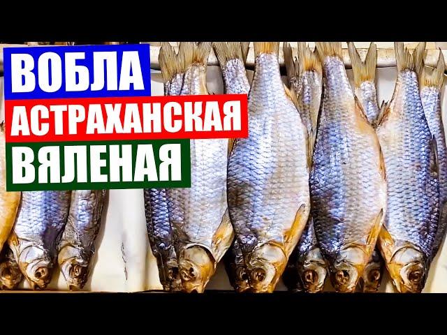 Vobla Astrakhan dried. Vobla is a symbol of Astrakhan. Drying process of roach