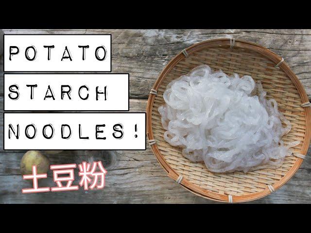 HOW TO MAKE POTATO STARCH NOODLES  | NOODLE WEEK! 土豆粉