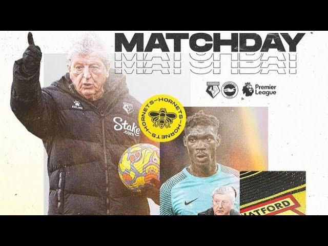 MATCH PREVIEW: Watford vs Brighton #coyh #watfordfc