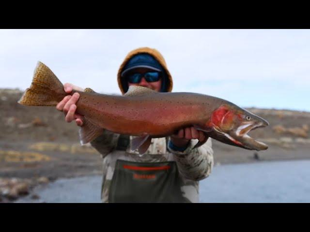 Pyramid Lake - Largest Cutthroat in the World