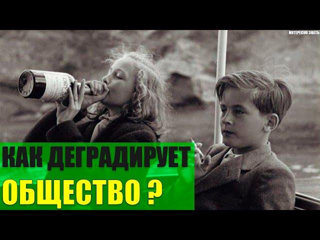 Как деградирует современное общество?