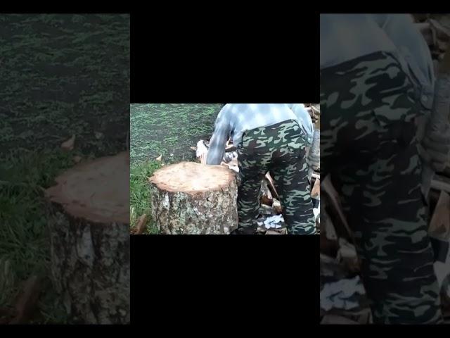 Как расколоть огромную тюльку, чурку, комель. Колка дров