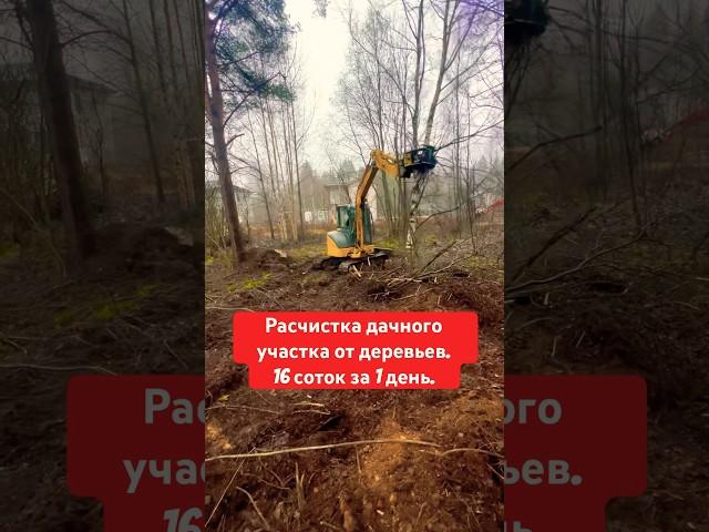 ИДЕАЛЬНАЯ РАСЧИСТКА ДАЧНОГО УЧАСТКА #shorts #топ #экскаватор #дача #участок #дом #стройка #спб #сад