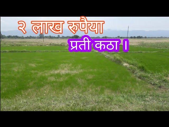 २ लाख रुपैया प्रती कठा । Rupandehi | sasto land