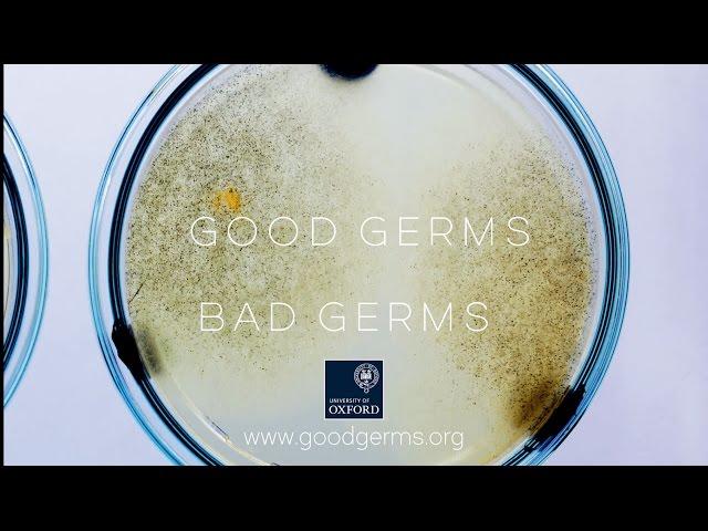 Good Germs; Bad Germs
