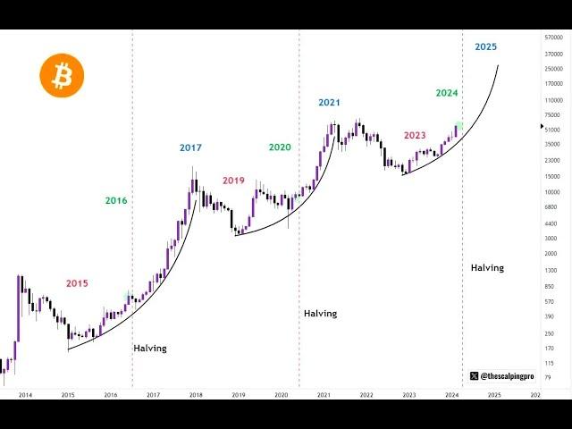 【2025規劃】山寨季到來，比特幣，狗狗幣牛目標分享！ BTC DOGE分析