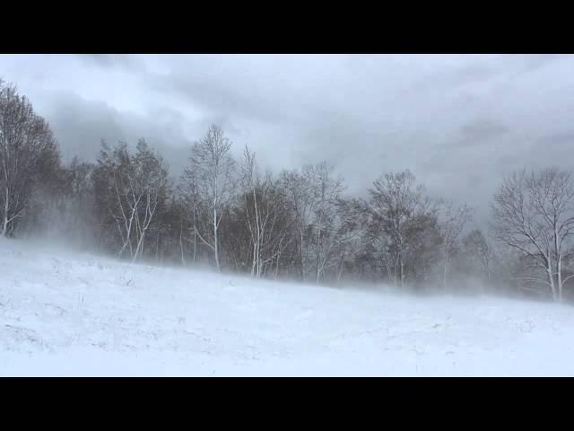 Winter Wind 1 Hour / Relaxing Snowstorm Sound, Winds Blowing Snow Across Forest Meadow