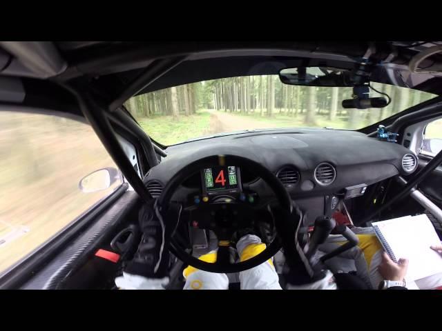 INSANE Rally Race Driver POV - Flat out Inbetween trees