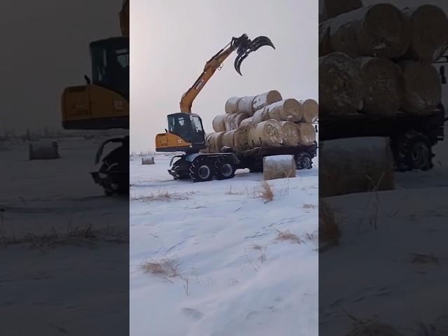Шөп