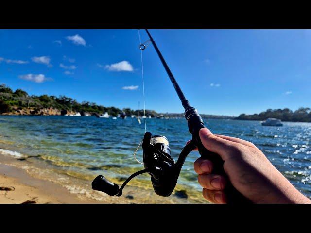 Flatty Bash! Finally Broke-in the 24 TD Black - Swan River, Bicton.