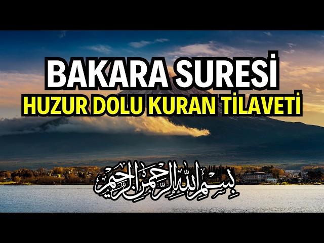 Bakara Suresi Dinle - Huzur ve Bilgelik Dolu Kuran Tilaveti | Kuran Dinle