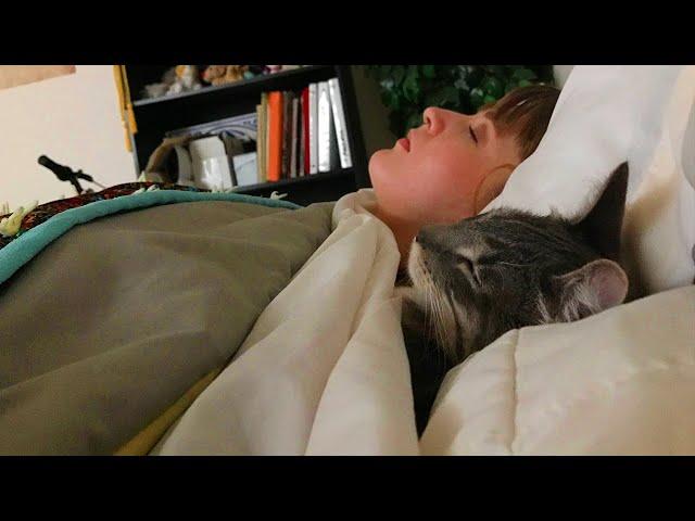 Stressed? Then Just Cuddle Your Cat and Sleep, Cute Cats And Their Owners Sleep Together