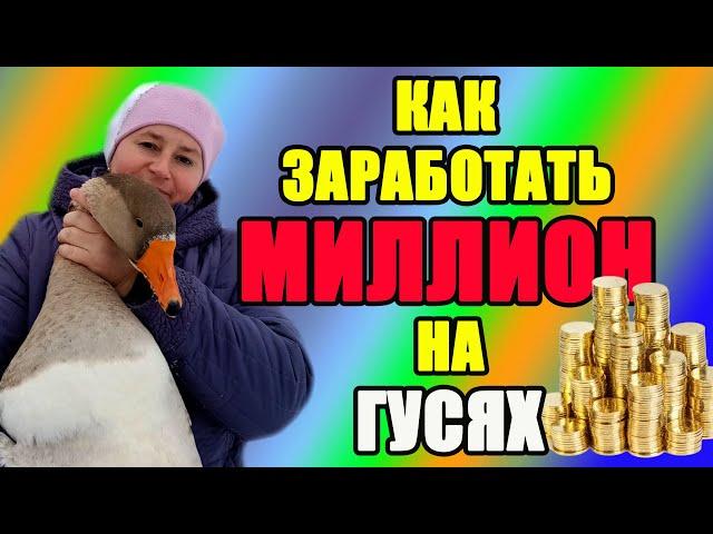 Как заработать МИЛЛИОН на гусях. Реальная история.