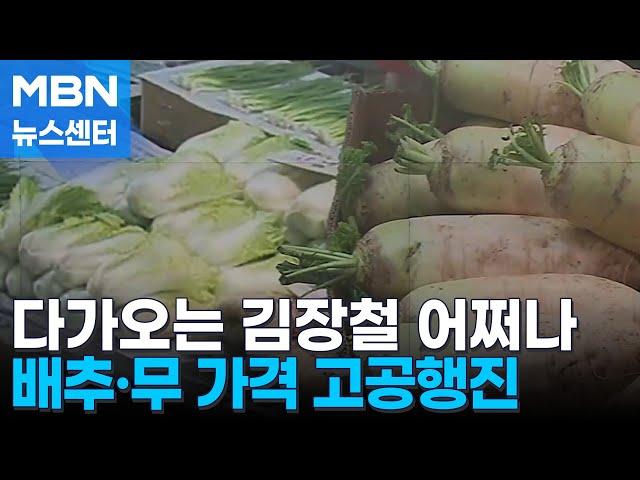 김장철 다가오는데 어쩌나…폭염·폭우에 배추·무 가격 고공행진 [MBN 뉴스센터]