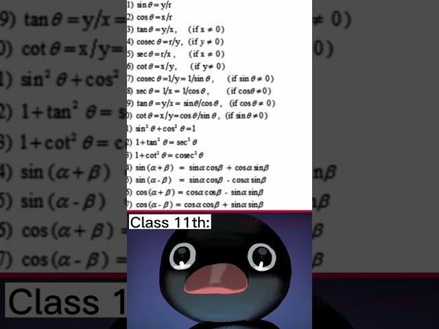 nook nook | penguin meme | viral video | maths | #shorts #memes #nootnoot #trending #funny