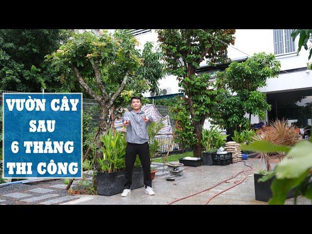 THĂM LẠI VƯỜN CÂY ĂN TRÁI VÀ BÓNG MÁT CỰC TỐT SAU 6 THÁNG THI CÔNG