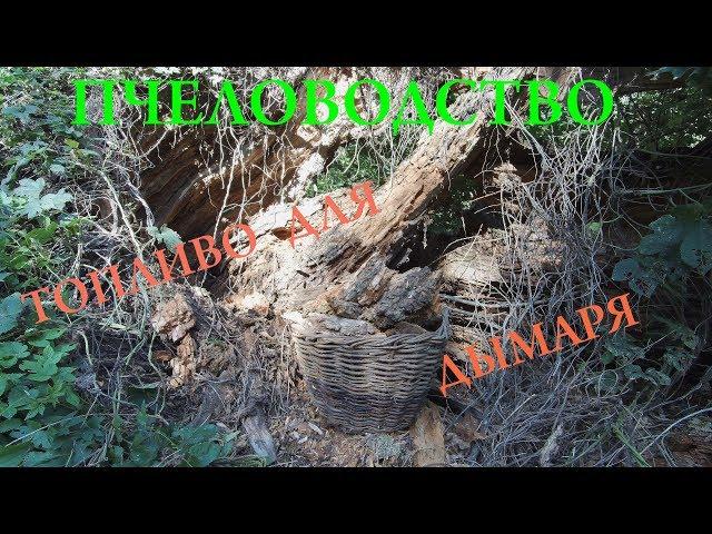 Собираю топливо для дымаря.