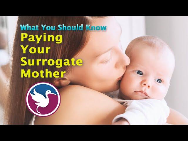 QUICK LOOK: Paying Your Surrogate Mother