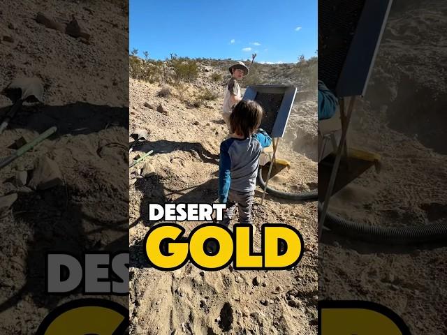 Striking Gold in the Desert: Dry Washer Action! #goldmining #mining #adventure #minelife