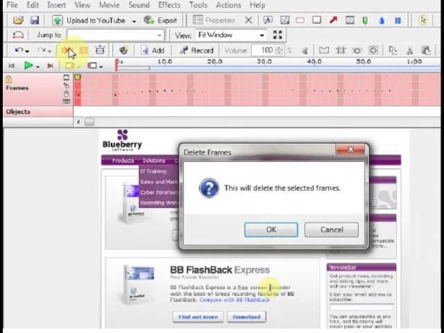 BB FlashBack User Guide: Working with frames
