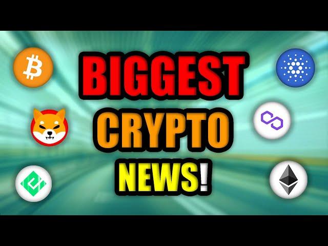 The Crypto Market GETTING CRAZY! (Bitcoin Crash Explained!) | Whales Buying *These* Altcoins!