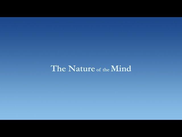 The Nature of the Mind