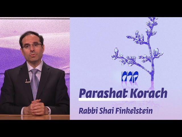 Parashat Korach | Politics and Public Opinion  | Rabbi Shai Finkelstein