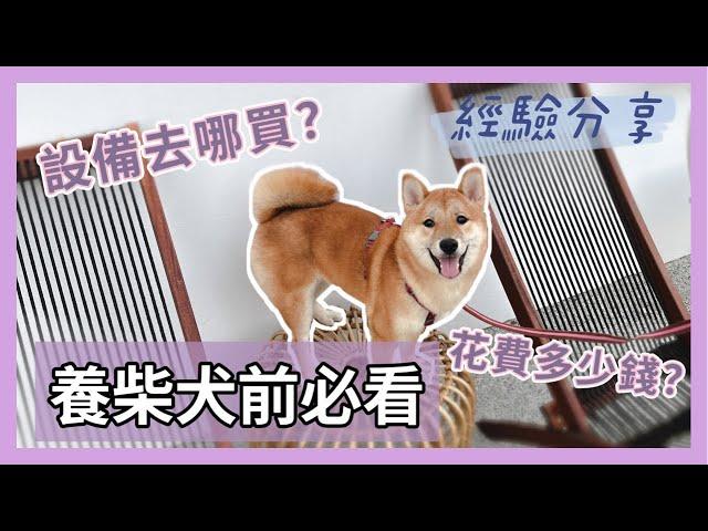 SHIBA｜柴寶小樂日記｜養柴犬前必看，養柴犬要花多少錢？